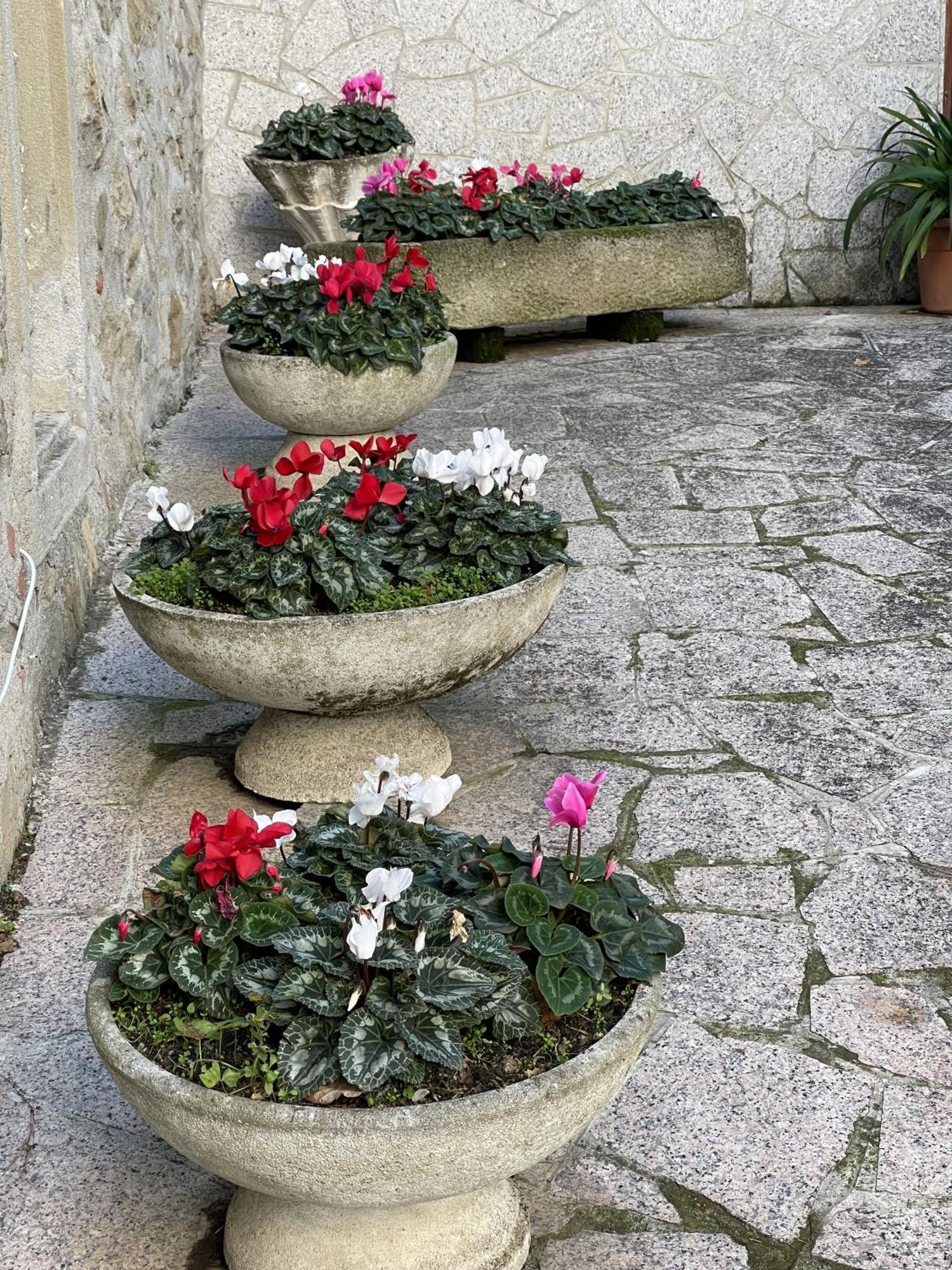 Mazzetti Country House-Vita In Campagna Con Giardino Vimignano-Chiesa Exterior photo