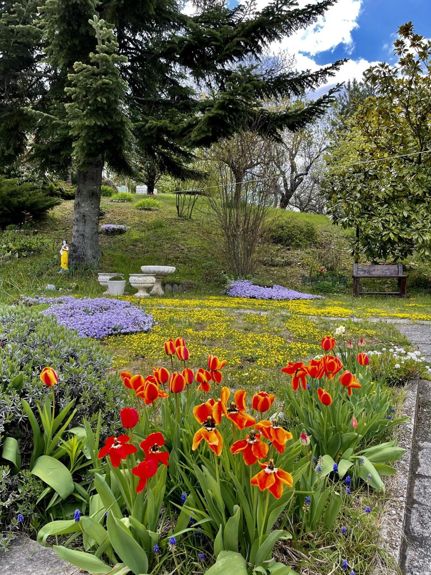 Mazzetti Country House-Vita In Campagna Con Giardino Vimignano-Chiesa Exterior photo
