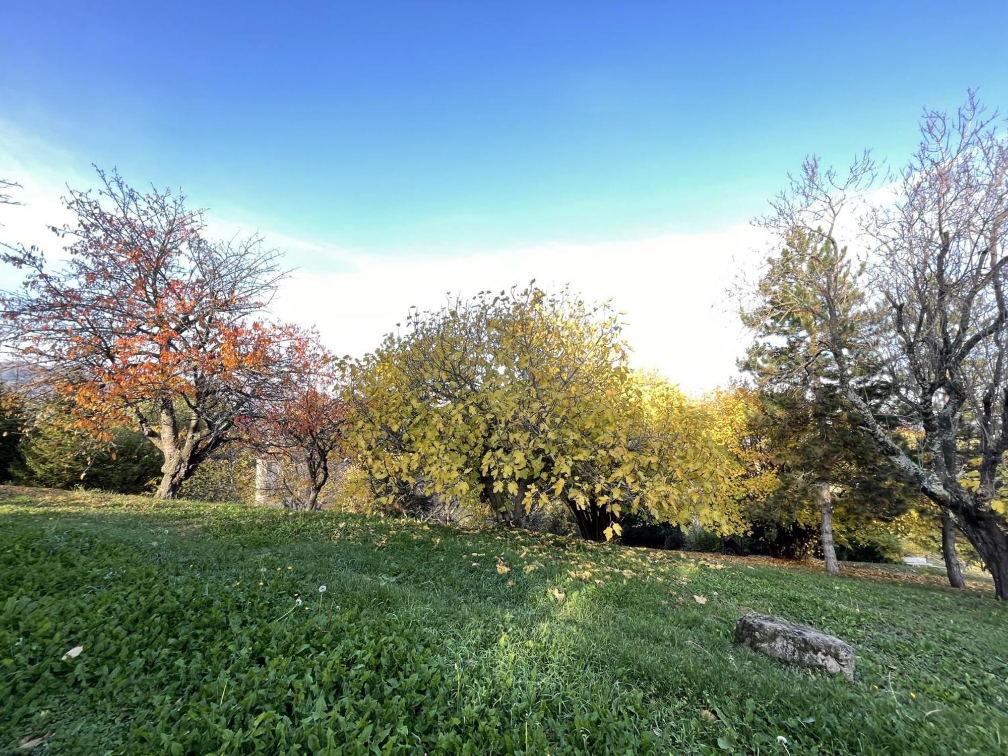 Mazzetti Country House-Vita In Campagna Con Giardino Vimignano-Chiesa Exterior photo